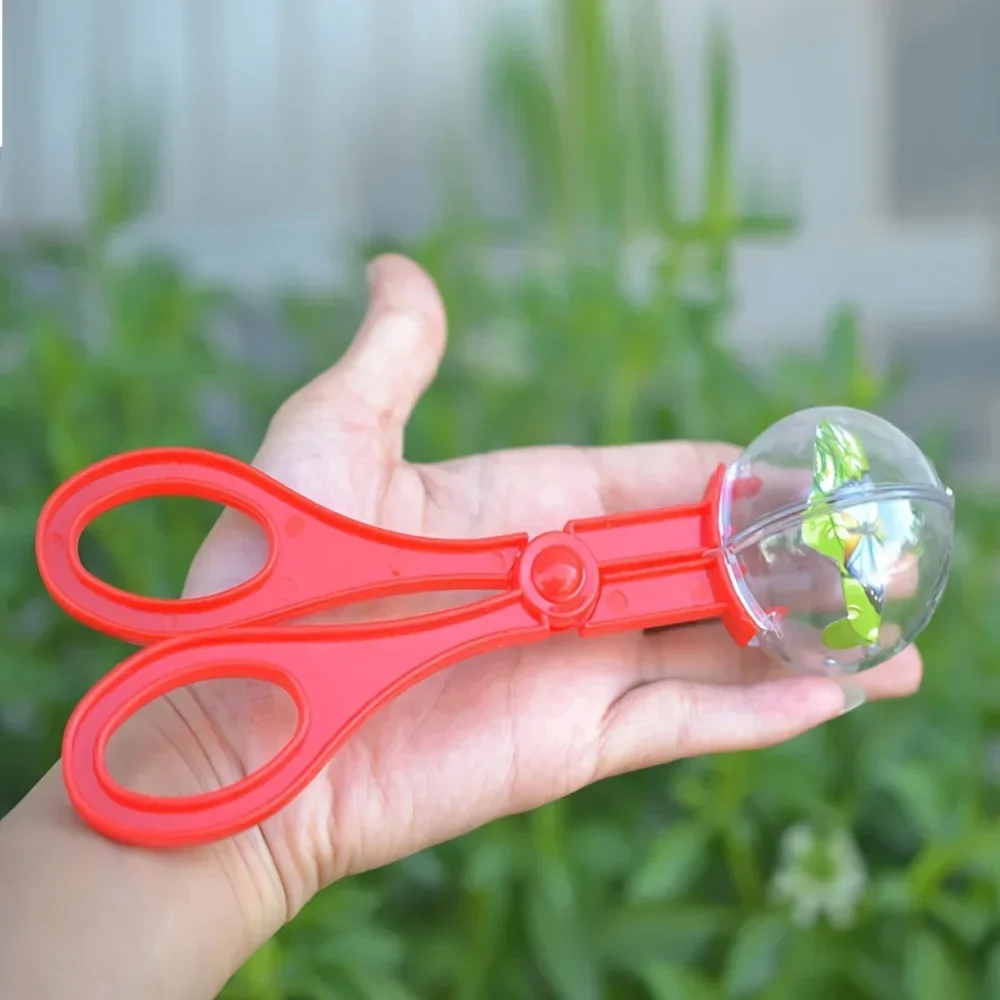 Colorful Large Bead Bug Catchi - Outdoor Adventure Games ulasan dan harga