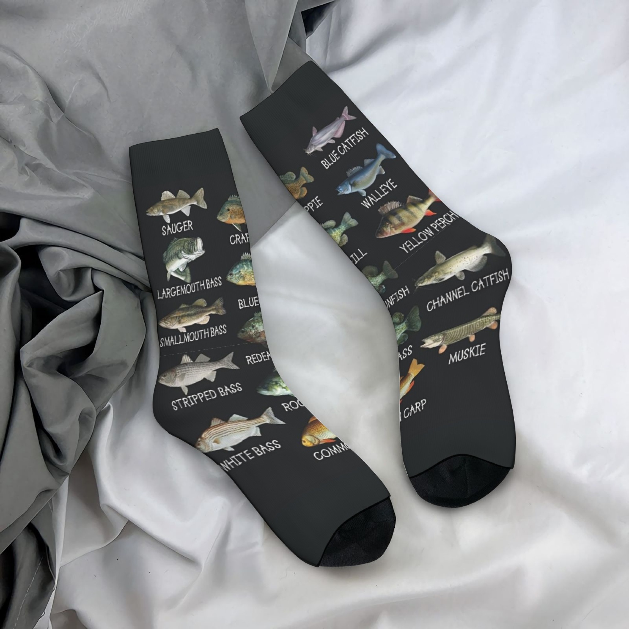 Freshwater Fish Illustration P - Outdoor Adventure Youtube ulasan dan harga